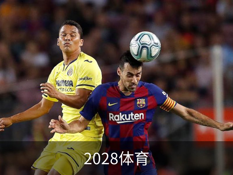 关于2028体育